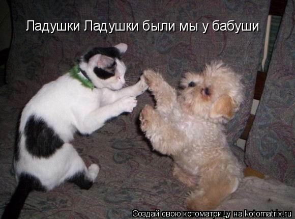 Ладушки Ладушки были мы у бабуши... Котоматрица: Ладушки Ладушки были мы у бабуши
