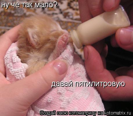 давай пятилитровую ну чё так мало? ну чё так мало?... Котоматрица: давай пятилитровую ну чё так мало? ну чё так мало?