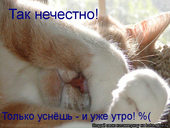 Так нечестно! Только уснёшь - и уже утро! %(... Котоматрица: Так нечестно! Только уснёшь - и уже утро! %(