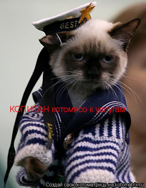 КОПИТАН котомясо к услугам... Котоматрица: КОПИТАН котомясо к услугам