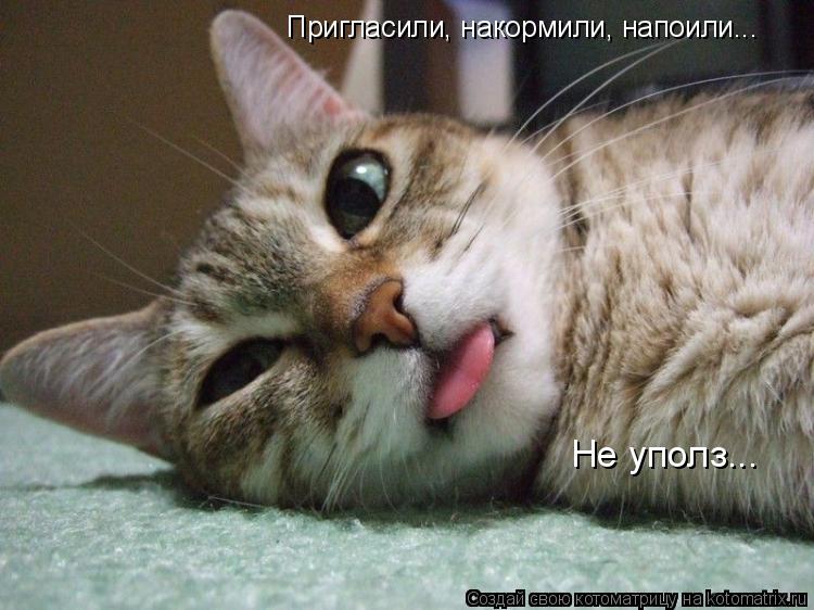 Пригласили, накормили, напоили... Не уполз...... Котоматрица: Пригласили, накормили, напоили... Не уполз...