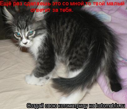 Ещё раз сделаешь это со мной,то твой малый ответит за тебя.... Котоматрица: Ещё раз сделаешь это со мной,то твой малый ответит за тебя.