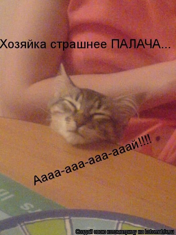 Хозяйка страшнее ПАЛАЧА... Аааа-ааа-ааа-ааай!!!!... Котоматрица: Хозяйка страшнее ПАЛАЧА... Аааа-ааа-ааа-ааай!!!!