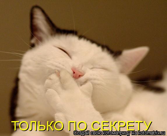 ТОЛЬКО ПО СЕКРЕТУ... Котоматрица: ТОЛЬКО ПО СЕКРЕТУ