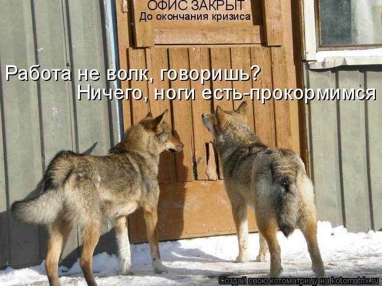 Работа не волк, говоришь? Ничего, ноги есть-прокормимся ОФИС ЗАКРЫТ До окончания кризиса... Котоматрица: Работа не волк, говоришь? Ничего, ноги есть-прокормимся ОФИС ЗАКРЫТ До окончания кризиса