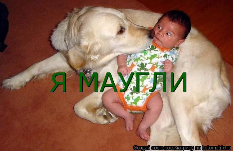 Я МАУГЛИ... Котоматрица: Я МАУГЛИ