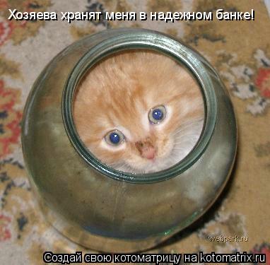 Хозяева хранят меня в надежном банке!... Котоматрица: Хозяева хранят меня в надежном банке!