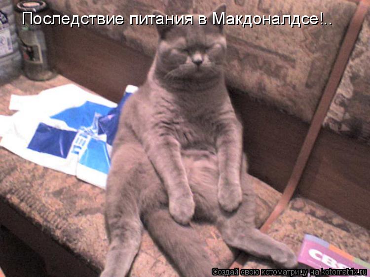 Последствие питания в Макдоналдсе!..... Котоматрица: Последствие питания в Макдоналдсе!..
