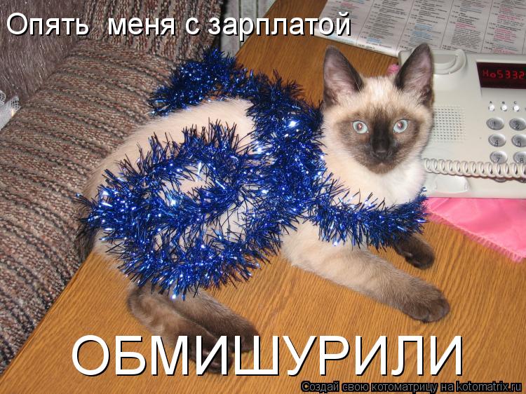 Опять меня с зарплатой ОБМИШУРИЛИ... Котоматрица: Опять меня с зарплатой ОБМИШУРИЛИ