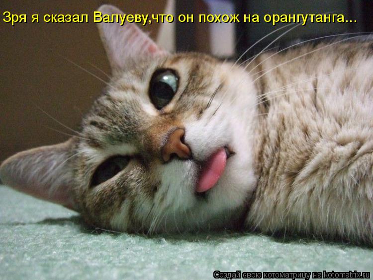 Зря я сказал Валуеву,что он похож на орангутанга...... Котоматрица: Зря я сказал Валуеву,что он похож на орангутанга...
