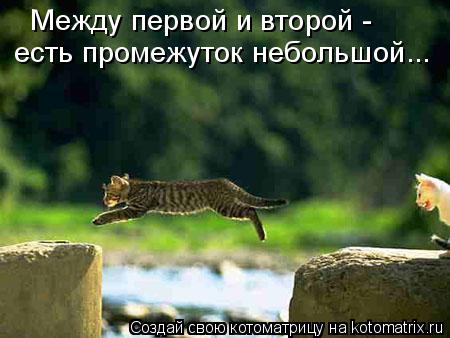 Между первой и второй - есть промежуток небольшой...... Котоматрица: Между первой и второй - есть промежуток небольшой...