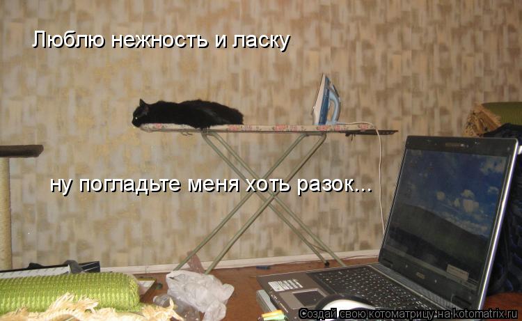 Люблю нежность и ласку ну погладьте меня хоть разок...... Котоматрица: Люблю нежность и ласку ну погладьте меня хоть разок...