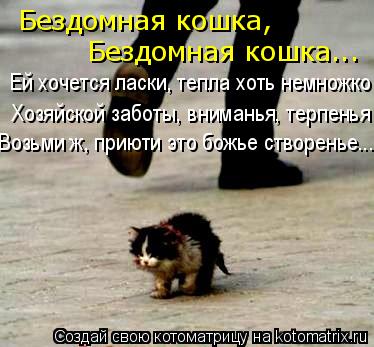 Бездомная кошка, Бездомная кошка... Ей хочется ласки, тепла хоть немножко Хозяйской заботы, вниманья... Котоматрица: Бездомная кошка, Бездомная кошка... Ей хочется ласки, тепла хоть немножко Хозяйской заботы, вниманья, терпенья Возьми ж, приюти это божье ст
