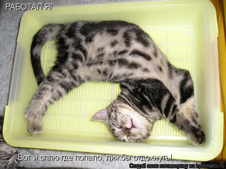 РАБОТАЛ Я! Вот и сплю где попало, лижбы отдохнуть!... Котоматрица: РАБОТАЛ Я! Вот и сплю где попало, лижбы отдохнуть!
