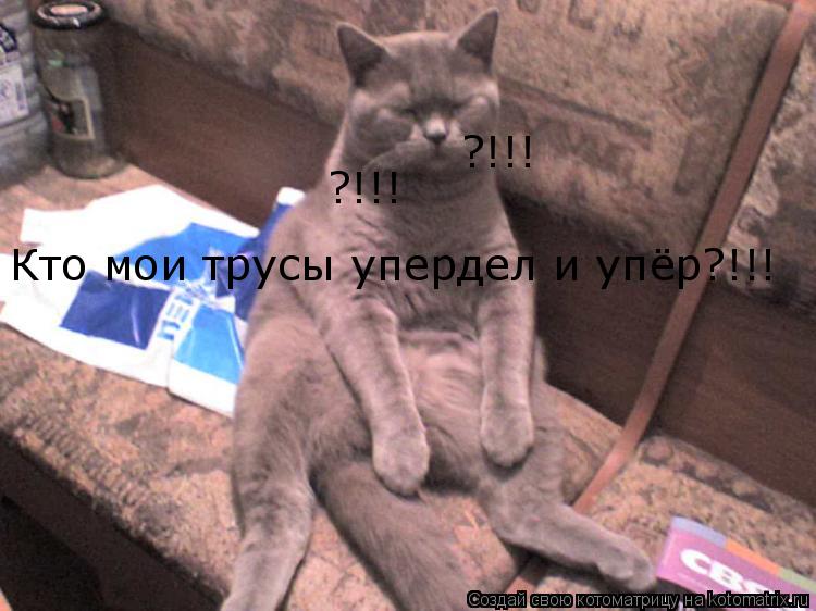 Кто мои трусы упердел и упёр?!!! ?!!! ?!!!... Котоматрица: Кто мои трусы упердел и упёр?!!! ?!!! ?!!!