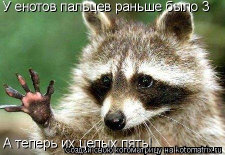 У енотов пальцев раньше было 3 А теперь их целых пять!... Котоматрица: У енотов пальцев раньше было 3 А теперь их целых пять!