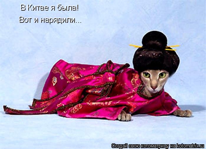 В Китае я была! Вот и нарядили...... Котоматрица: В Китае я была! Вот и нарядили...