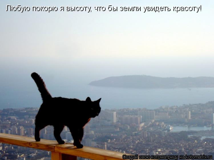 Любую покорю я высоту, что бы земли увидеть красоту!... Котоматрица: Любую покорю я высоту, что бы земли увидеть красоту!