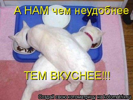 А НАМ чем неудобнее ТЕМ ВКУСНЕЕ!!!... Котоматрица: А НАМ чем неудобнее ТЕМ ВКУСНЕЕ!!!