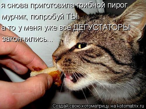 я снова приготовила грибной пирог. мурчик, попробуй ТЫ. а то у меня уже все ДЕГУСТАТОРЫ закончились.... Котоматрица: я снова приготовила грибной пирог. мурчик, попробуй ТЫ. а то у меня уже все ДЕГУСТАТОРЫ закончились...