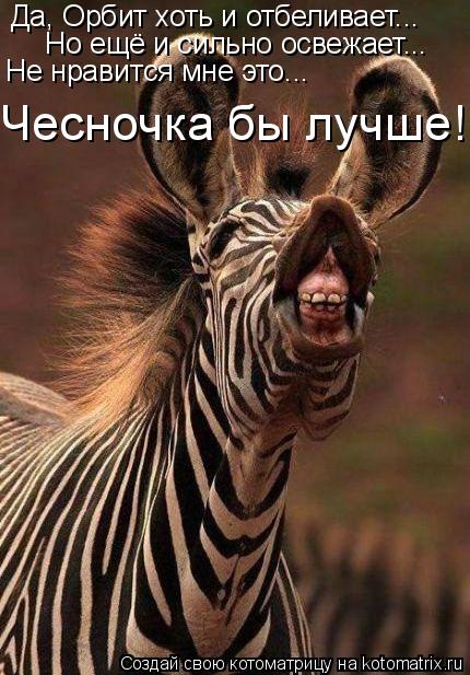 Да, Орбит хоть и отбеливает... Но ещё и сильно освежает... Не нравится мне это... Чесночка бы лучше!... Котоматрица: Да, Орбит хоть и отбеливает... Но ещё и сильно освежает... Не нравится мне это... Чесночка бы лучше!