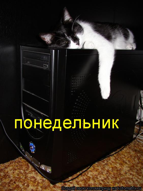 понедельник... Котоматрица: понедельник