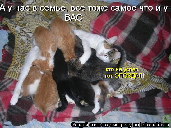 А у нас в семье, все тоже самое что и у ВАС тот ОПОЗДАЛ! кто не успел... Котоматрица: А у нас в семье, все тоже самое что и у ВАС тот ОПОЗДАЛ! кто не успел