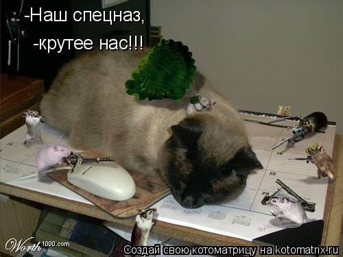 -Наш спецназ, -крутее нас!!!... Котоматрица: -Наш спецназ, -крутее нас!!!