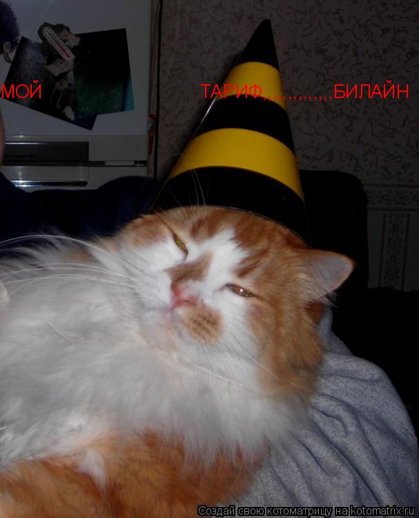 МОЙ ТАРИФ,,,,,,,,,,,,,,БИЛАЙН МОЙ ТАРИФ,,... Котоматрица: МОЙ ТАРИФ,,,,,,,,,,,,,,БИЛАЙН МОЙ ТАРИФ,,,,,,,,,,,,,,БИЛАЙН