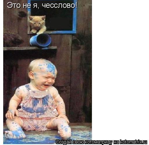 Это не я, чесслово!... Котоматрица: Это не я, чесслово!