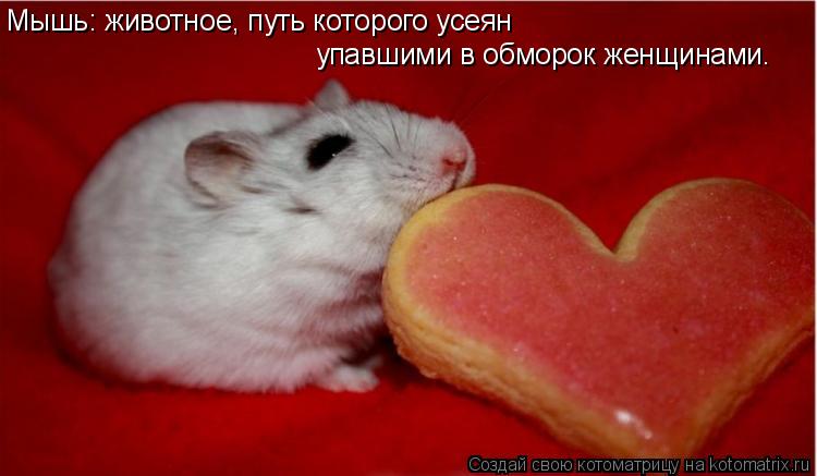 Мышь: животное, путь которого усеян упавшими в обморок женщинами.... Котоматрица: Мышь: животное, путь которого усеян упавшими в обморок женщинами.