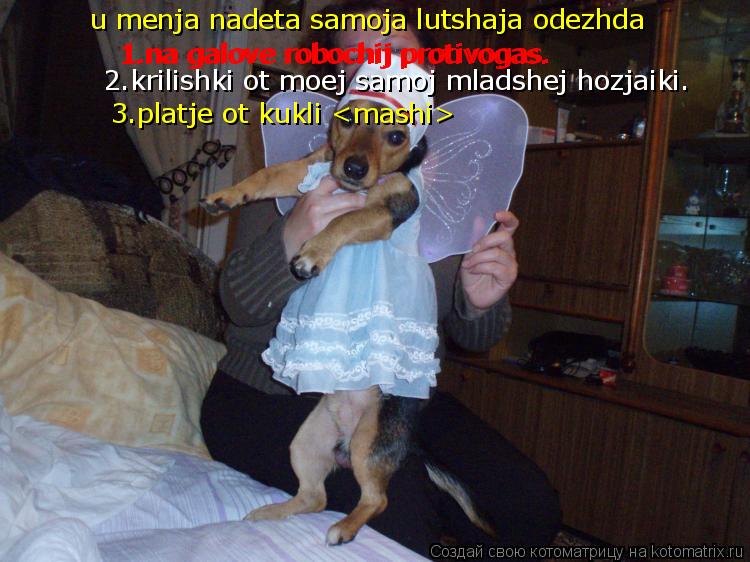 u menja nadeta samoja lutshaja odezhda 1.na galove robochij protivogas. 1.na galove robochij protivog... Котоматрица: u menja nadeta samoja lutshaja odezhda 1.na galove robochij protivogas. 1.na galove robochij protivogas. 2.krilishki ot moej samoj mladshej hozjaiki.