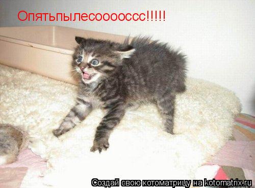 Опятьпылесооооссс!!!!!... Котоматрица: Опятьпылесооооссс!!!!!