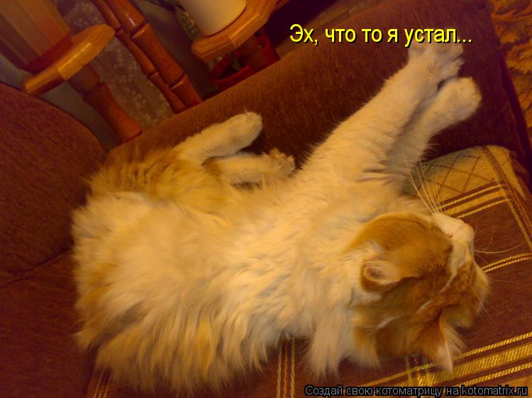 Эх, что то я устал...... Котоматрица: Эх, что то я устал...