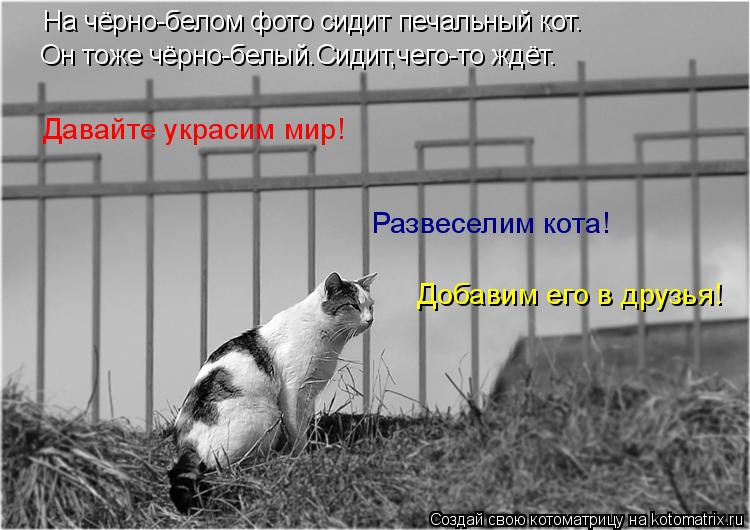 На чёрно-белом фото сидит печальный кот. Он тоже чёрно-белый.Сидит,чего-то ждёт. Давайте украсим мир!... Котоматрица: На чёрно-белом фото сидит печальный кот. Он тоже чёрно-белый.Сидит,чего-то ждёт. Давайте украсим мир! Развеселим кота! Добавим его в друзья!