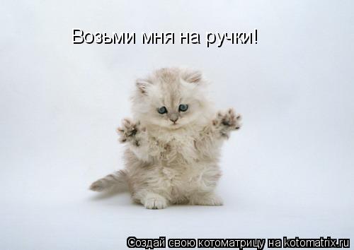 Возьми мня на ручки!... Котоматрица: Возьми мня на ручки!
