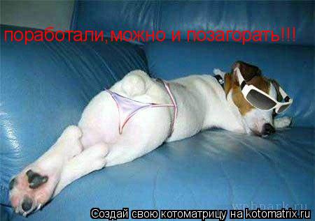 поработали,можно и позагорать!!!... Котоматрица: поработали,можно и позагорать!!!