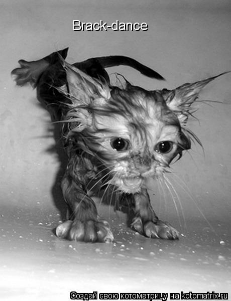 Brack-dance... Котоматрица: Brack-dance