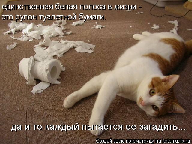 единственная белая полоса в жизни - это рулон туалетной бумаги. да и то каждый пытается ее загадить..... Котоматрица: единственная белая полоса в жизни - это рулон туалетной бумаги. да и то каждый пытается ее загадить...