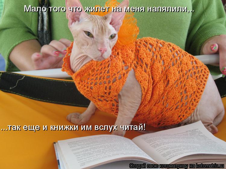 Мало того что жилет на меня напялили,.. ...так еще и книжки им вслух читай!... Котоматрица: Мало того что жилет на меня напялили,.. ...так еще и книжки им вслух читай!