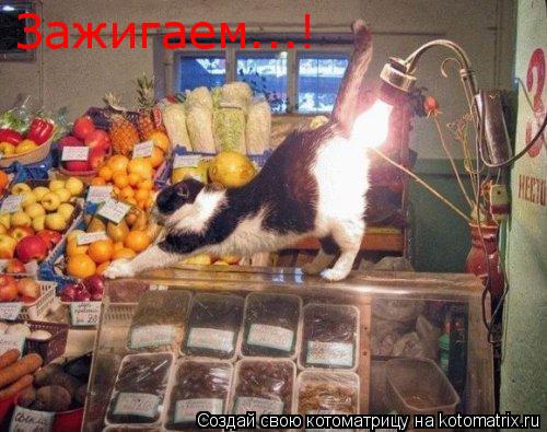 Зажигаем...!... Котоматрица: Зажигаем...!