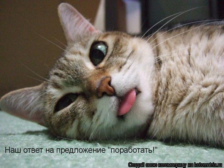 Наш ответ на предложение "поработать!"... Котоматрица: Наш ответ на предложение "поработать!"