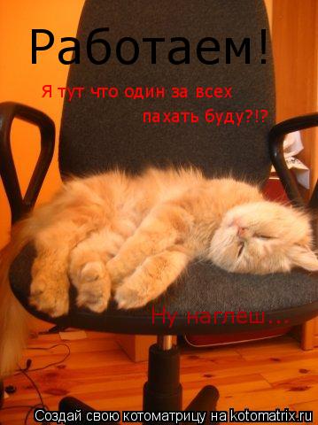 Работаем! Я тут что один за всех пахать буду?!? Ну наглёш...... Котоматрица: Работаем! Я тут что один за всех пахать буду?!? Ну наглёш...