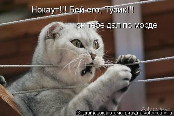 он тебе дал по морде... Котоматрица: он тебе дал по морде
