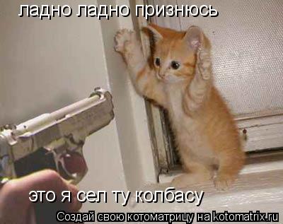 ладно ладно признюсь это я сел ту колбасу... Котоматрица: ладно ладно признюсь это я сел ту колбасу