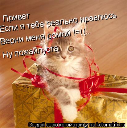 Привет Если я тебе реально нравлюсь Верни меня домой !=((.. Ну пожайлуста... Котоматрица: Привет Если я тебе реально нравлюсь Верни меня домой !=((.. Ну пожайлуста