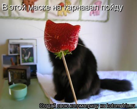 В этой маске на карнавал пойду... Котоматрица: В этой маске на карнавал пойду