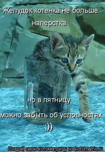 Желудок котенка не больше наперстка но в пятницу можно забыть об условностях ;))... Котоматрица: Желудок котенка не больше наперстка но в пятницу можно забыть об условностях ;))