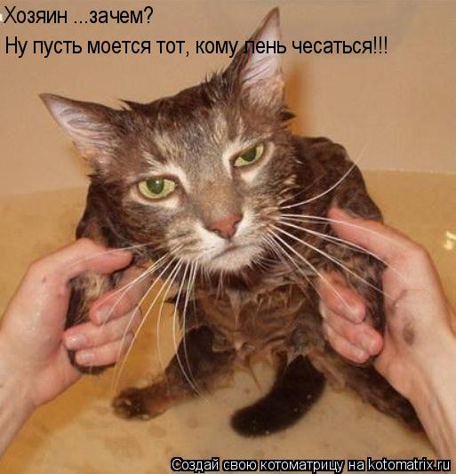 Хозяин ...зачем? Ну пусть моется тот, кому лень чесаться!!!... Котоматрица: Хозяин ...зачем? Ну пусть моется тот, кому лень чесаться!!!