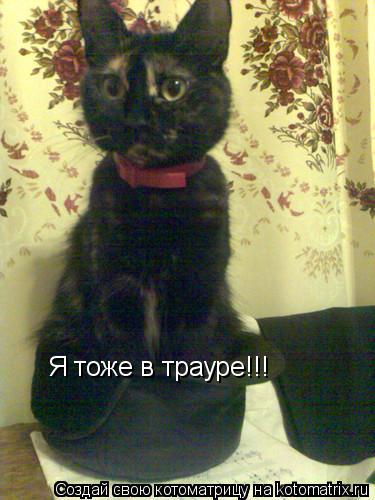 Я тоже в трауре!!!... Котоматрица: Я тоже в трауре!!!